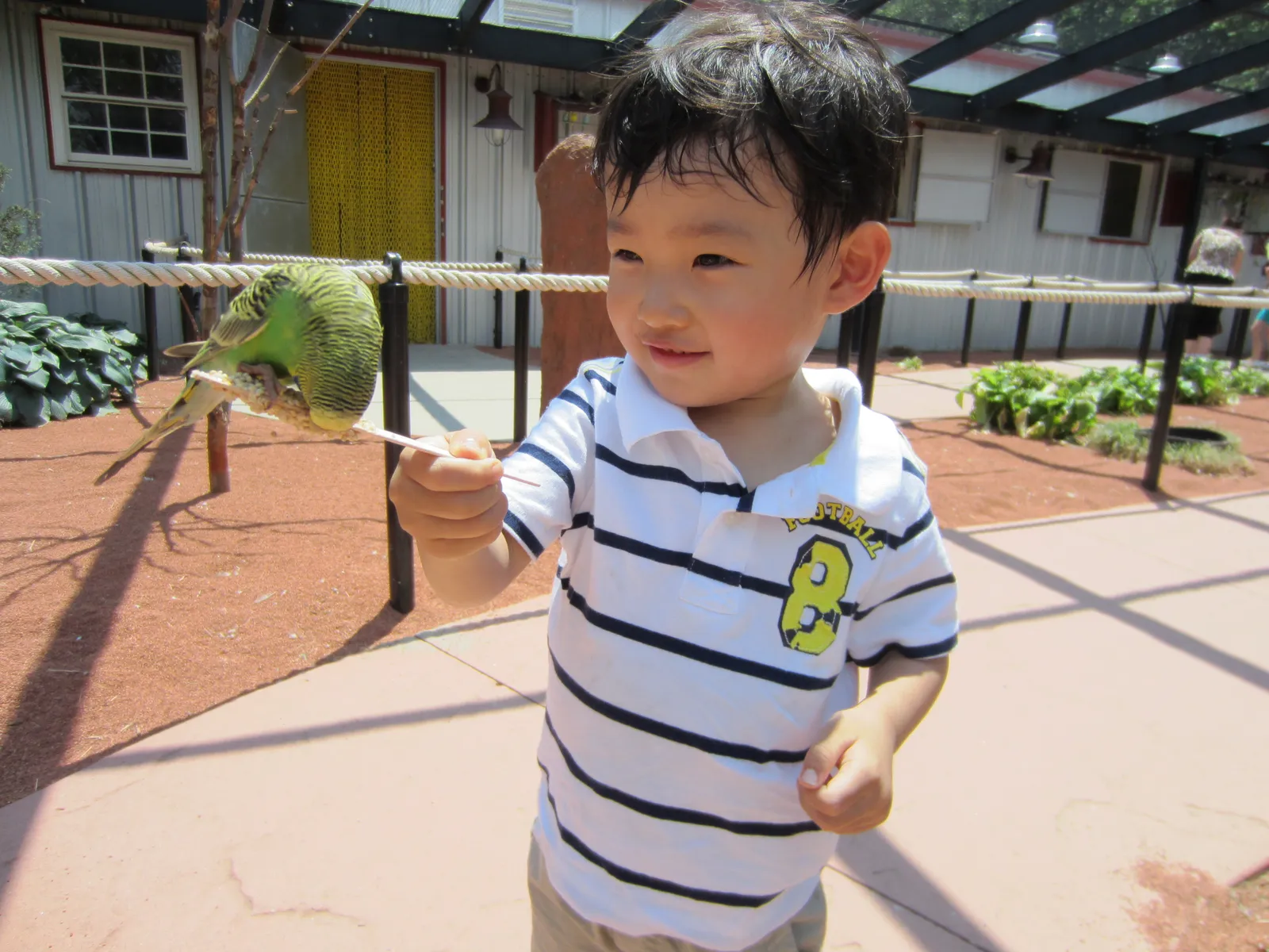 Turtle Back Zoo — photo 2