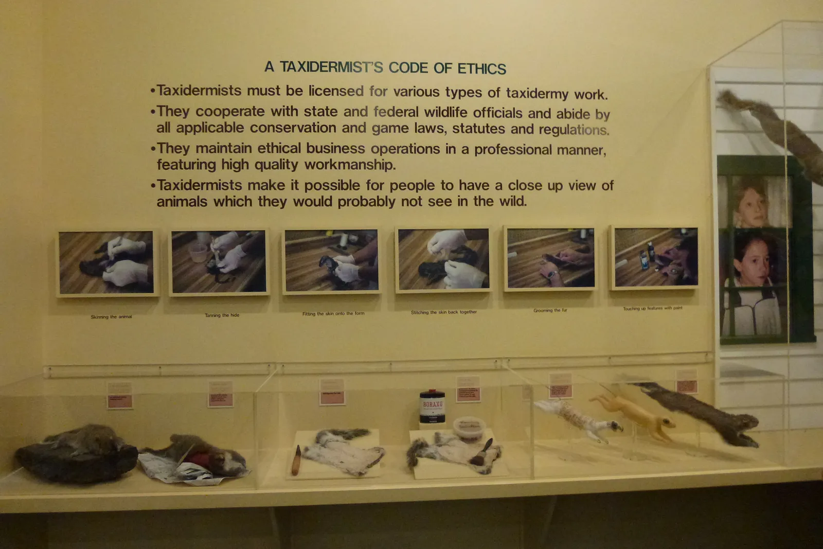 White Memorial Conservation Center gallery image 2