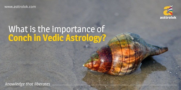 What Is The Importance Of Conch In Vedic Astrology?