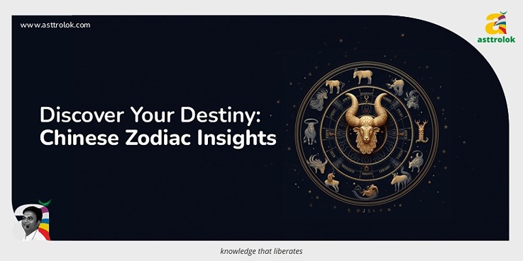 Exploring the Chinese Zodiac's Insights into Personality and Destiny