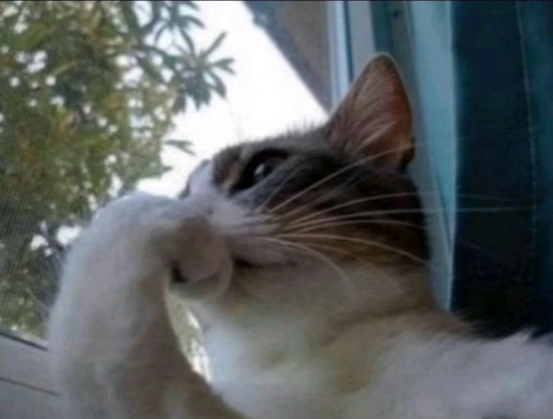 Kets4eki