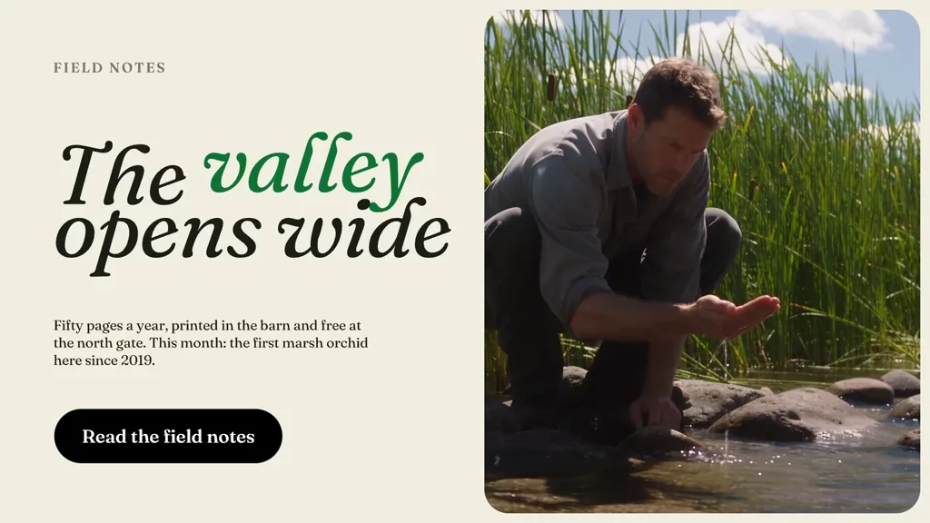 The valley sustainability video template | Async