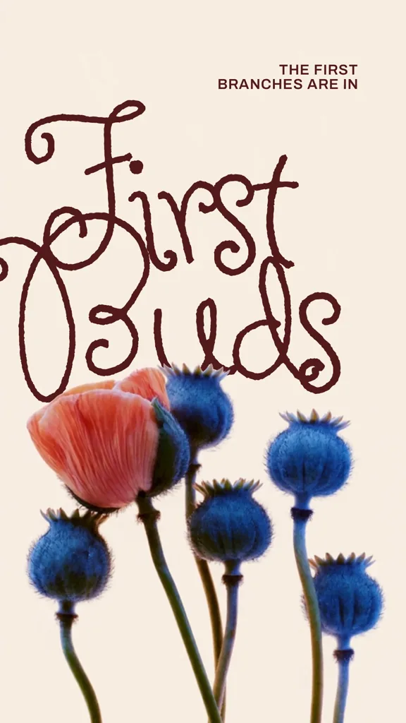First Buds