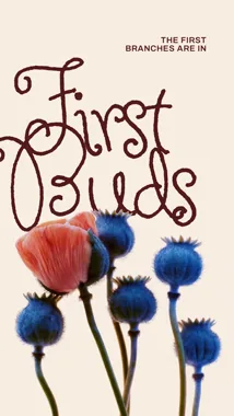 First Buds