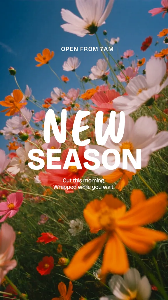 New Season