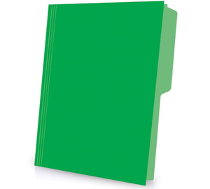 FOLDER T/C VERDE BANDERA PENDAFLEX