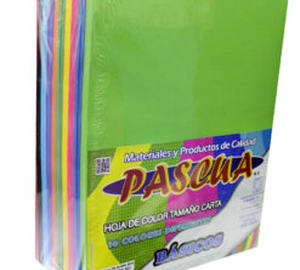 HOJA COLOR NEON 100pz PASCUA