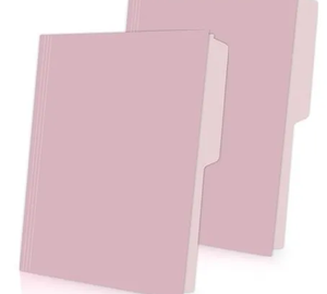 FOLDER CARTA ROSA CLARO MAPASA