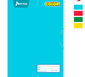 FOLDER CARTA NORMA COLOR 360