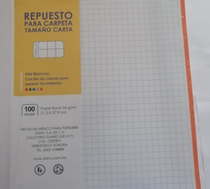 REPUESTO CARTA CARPETA 100h  7 mm DANY