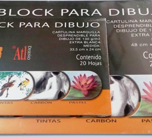 BLOCK DIBUJO 48 X 33.5 C/20 H MEDIANO