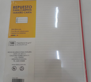 REPUESTO CARTA CARPETA RAYADA 100h DANY