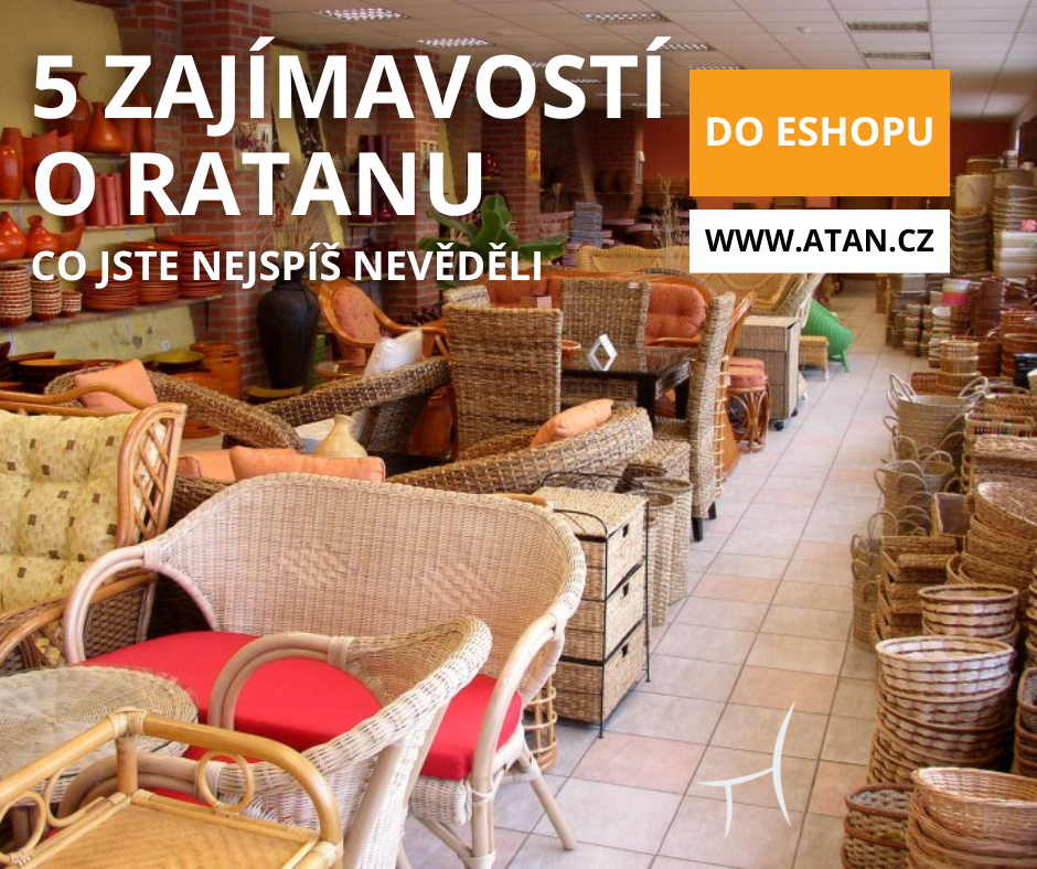 Zajímavosti o ratanu