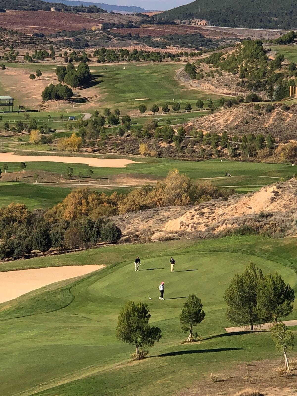 Swing entre Viñedos