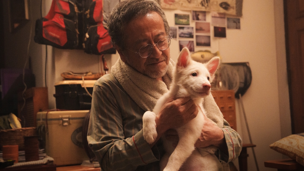 ภาพชุดแรกจาก โกฮัง..หัวใจโกโฮม อุ่นเครื่องภารกิจหาบ้านในฝันของหมาจรตัวขาวจมูกชมพู ที่จะทำให้หัวใจพองโต