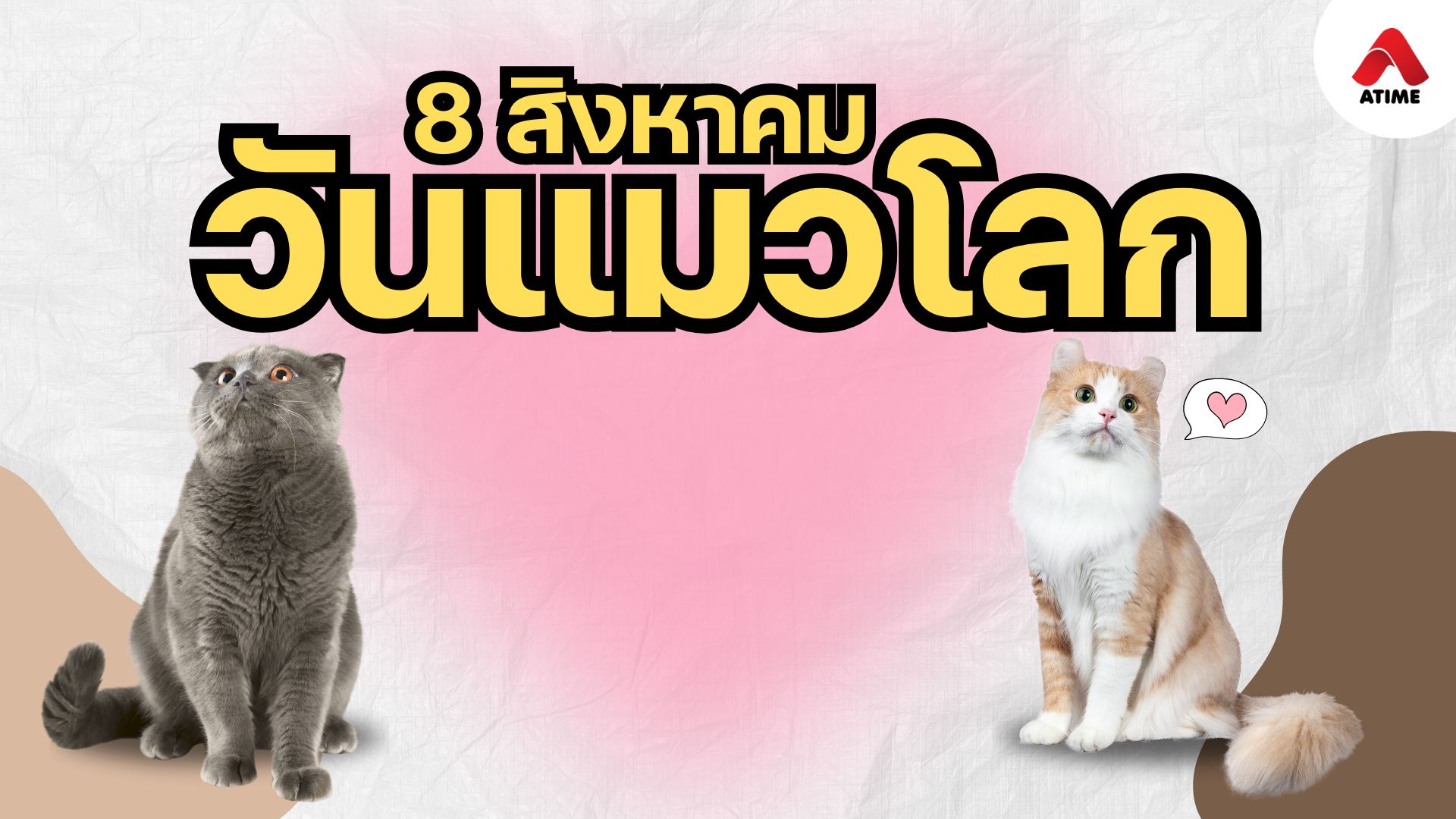 8 สิงหาคม วันแมวโลก International Cat Day