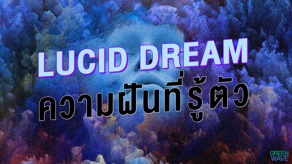 LUCID DREAM ความฝันที่รู้ตัว