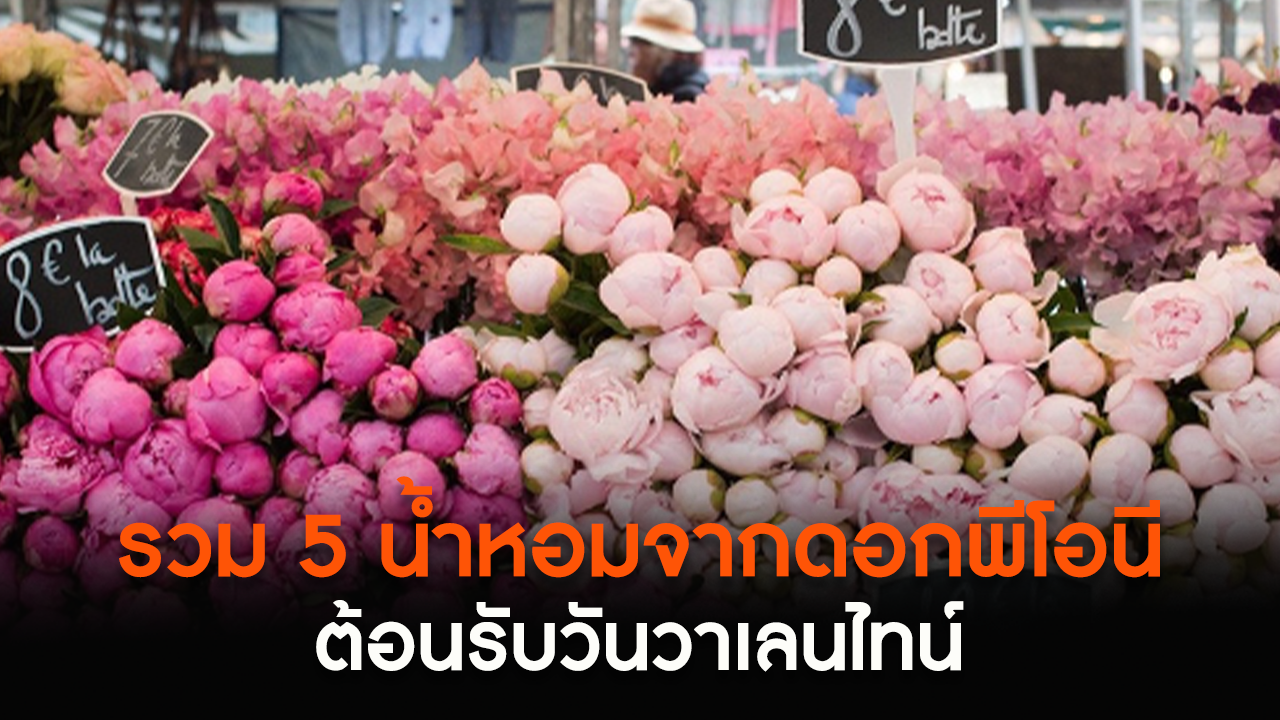 รวม 5 น้ำหอมจากดอกพีโอนีต้อนรับวันวาเลนไทน์ ฉีดไปเดทก็ได้ฉีดในชีวิตประจำวันก็ดี