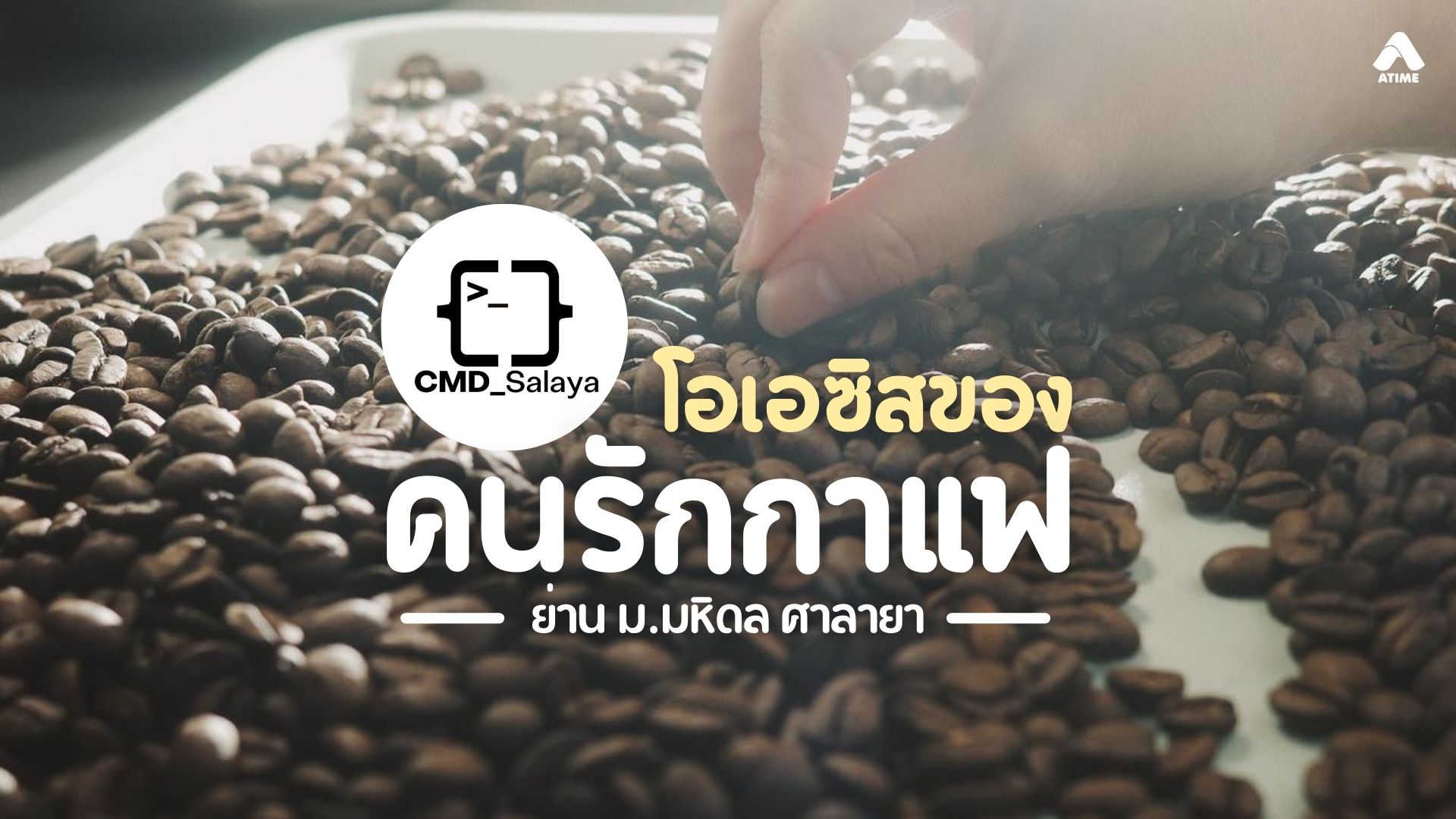 ร้าน CMD_Salaya โอเอซิสของคนรักกาแฟ