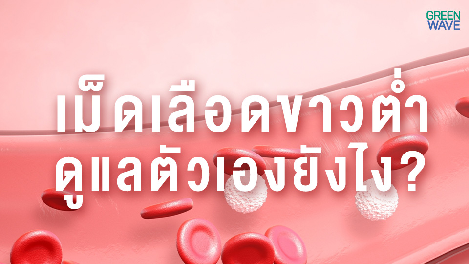 เม็ดเลือดขาวต่ำ ดูแลตัวเองยังไง?