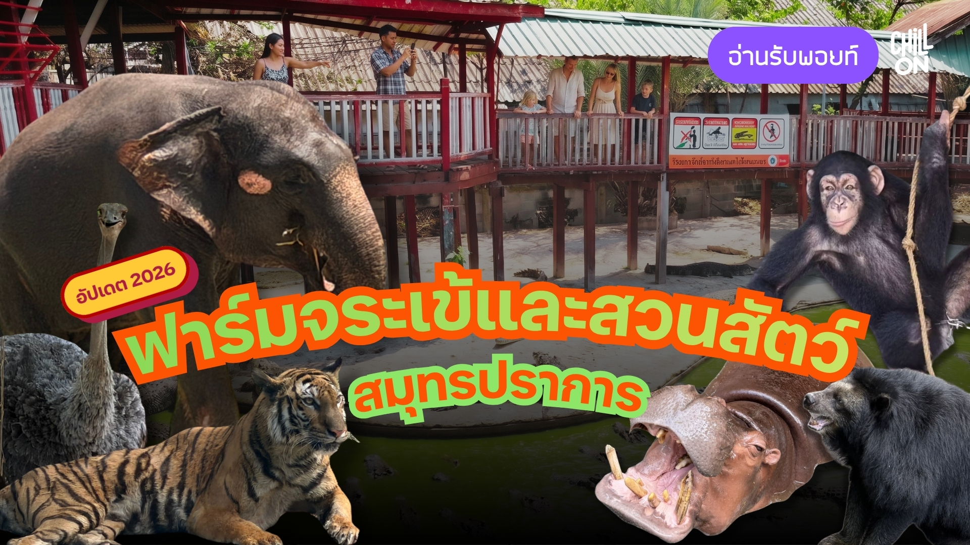 ย้อนวันวานที่ฟาร์มจระเข้สมุทรปราการ สวนสัตว์ในความทรงจำที่กลับมาคึกคักอีกครั้ง