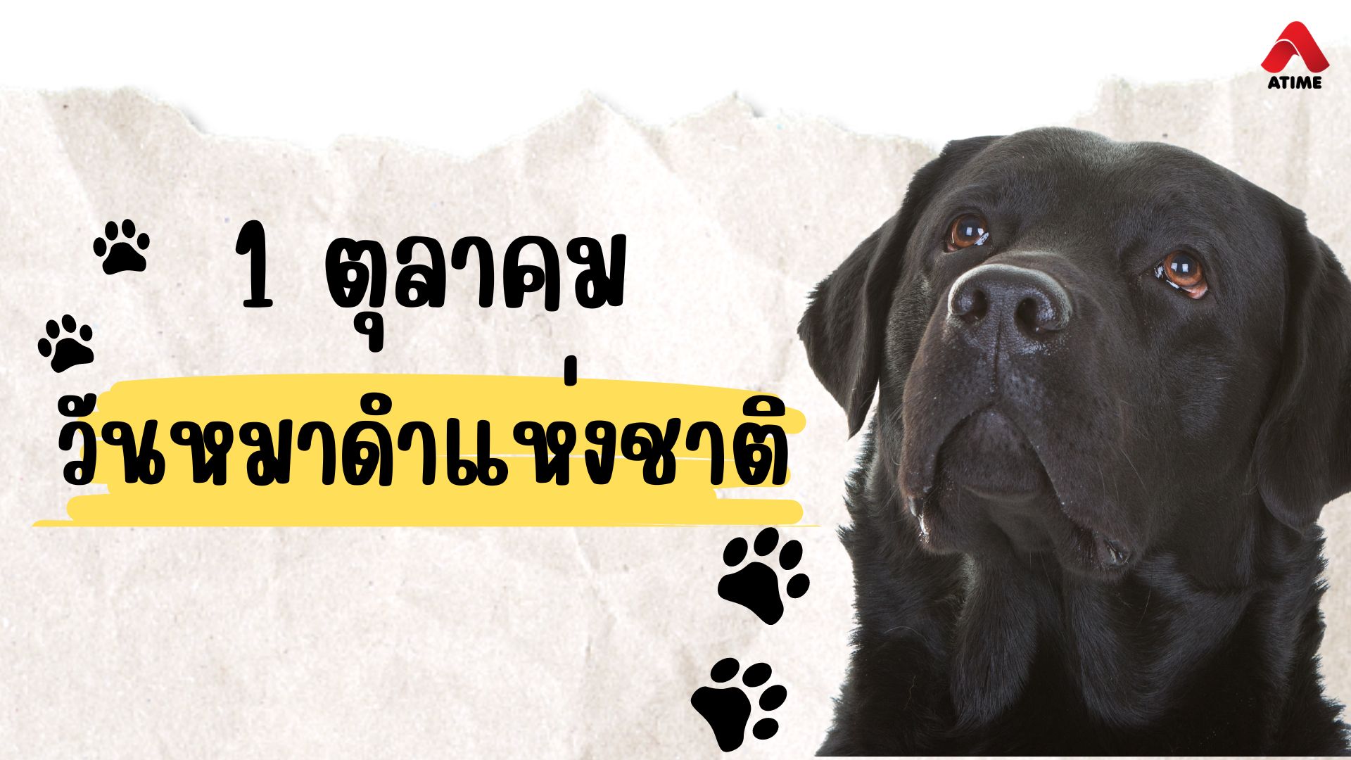 1 ตุลาคม วันหมาดำแห่งชาติ (Black Dog Day)