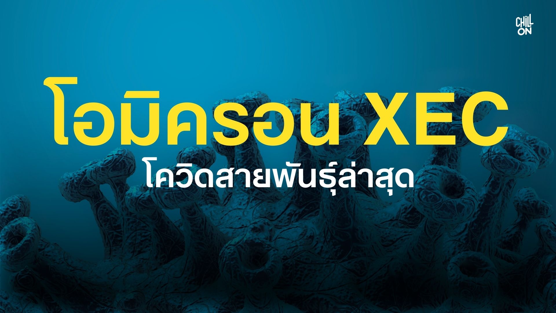 โควิดสายพันธุ์ใหม่ "โอมิครอน XEC"