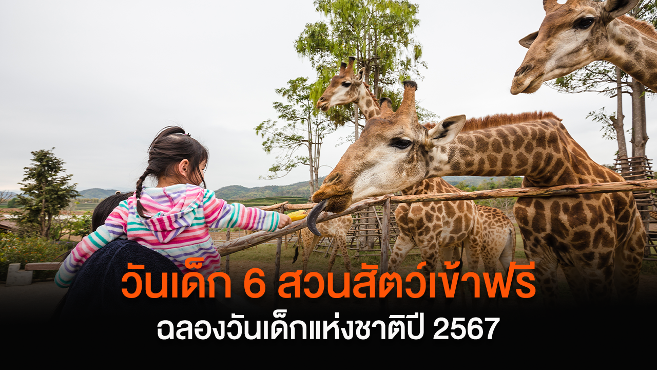 เด็กเข้า 6 สวนสัตว์ ฟรี! ฉลองวันเด็กแห่งชาติปี 2567