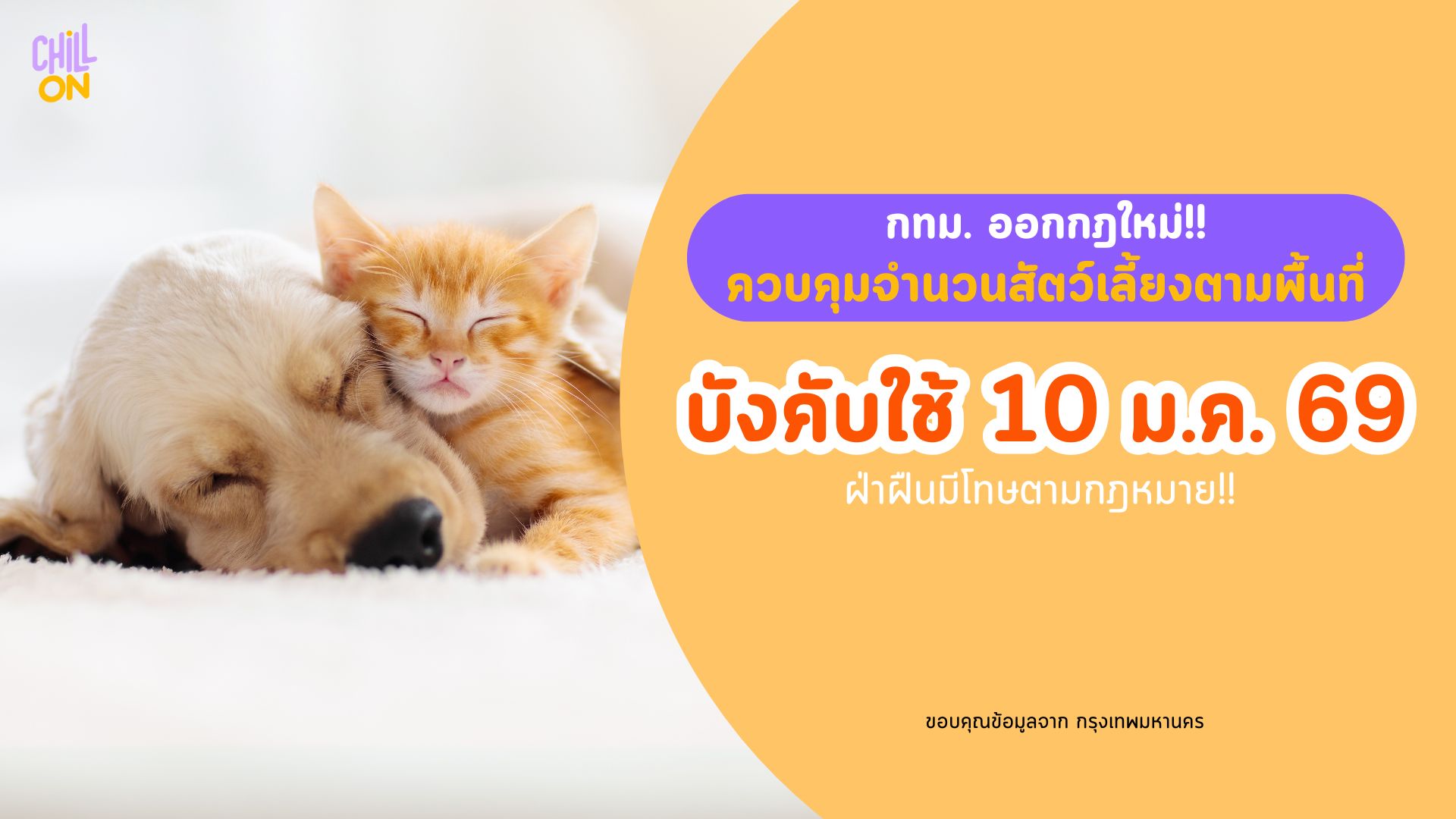 กทม ออกกฎใหม่!! คุมเข้มจำนวนสัตว์เลี้ยงตามขนาดพื้นที่