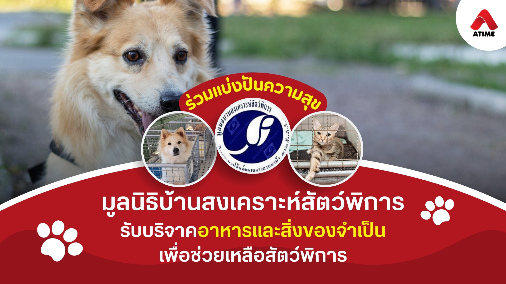มูลนิธิบ้านสงเคราะห์สัตว์พิการเปิดรับบริจาคอาหารและสิ่งของจำเป็น