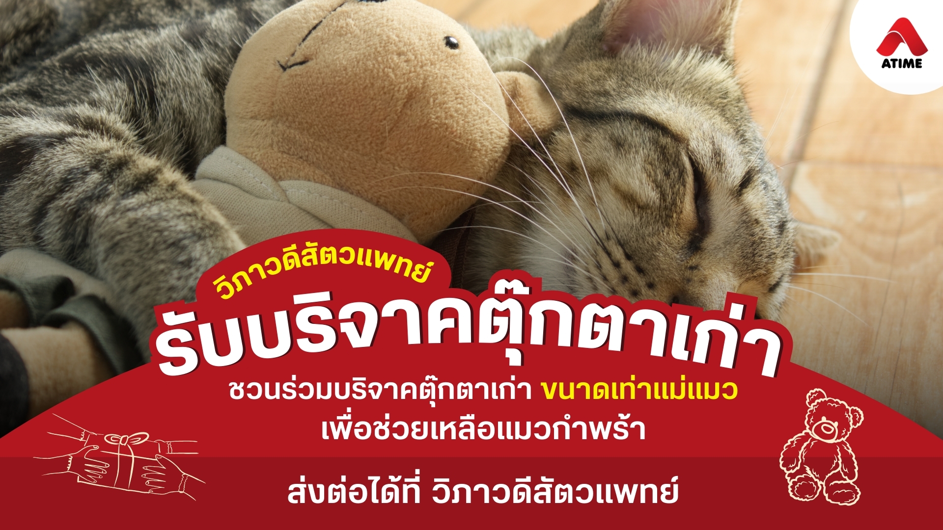 ชวนเพื่อน ๆ มาบริจาคตุ๊กตาเก่าให้น้องแมวกำพร้า เพื่อสร้างความอบอุ่นให้น้องแมวกัน