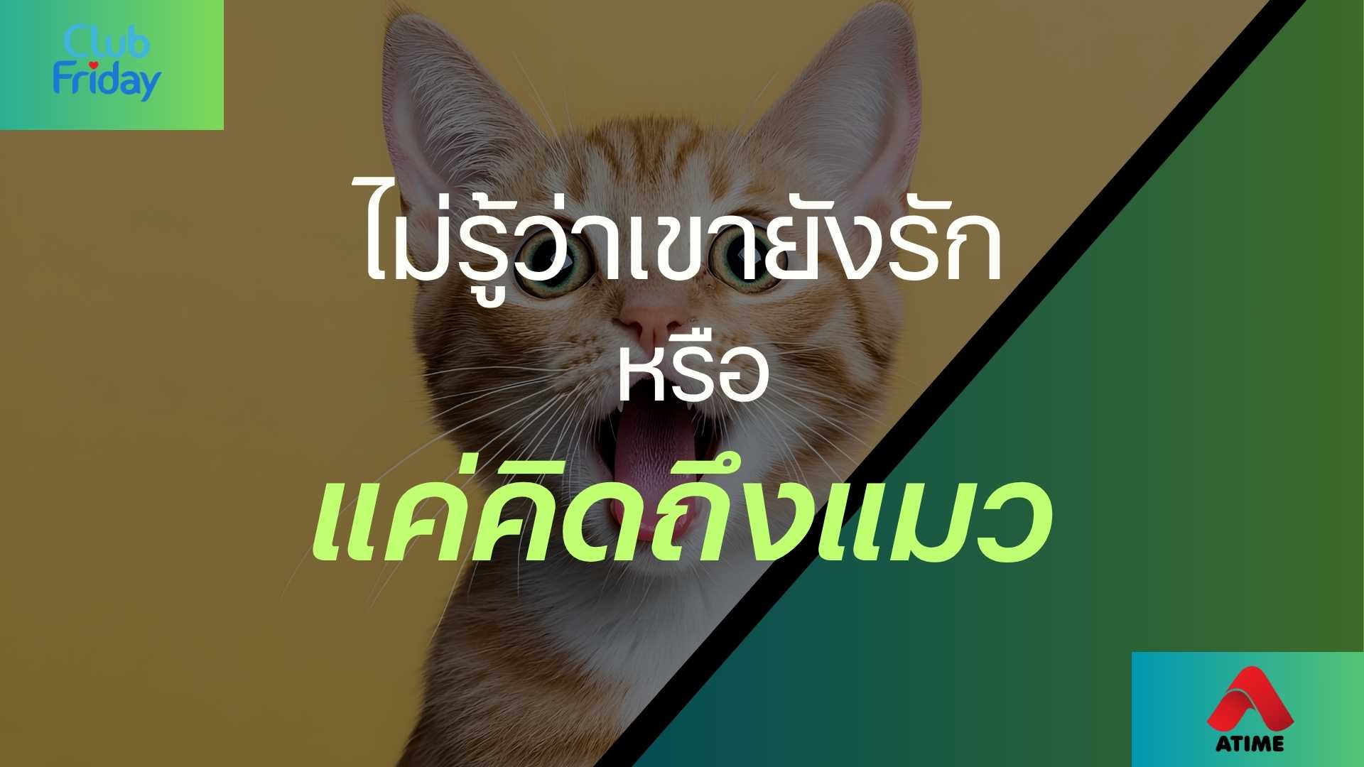 ไม่รู้ว่าเขายังรัก หรือแค่คิดถึงแมว | 01 ส.ค. 68 | Atime