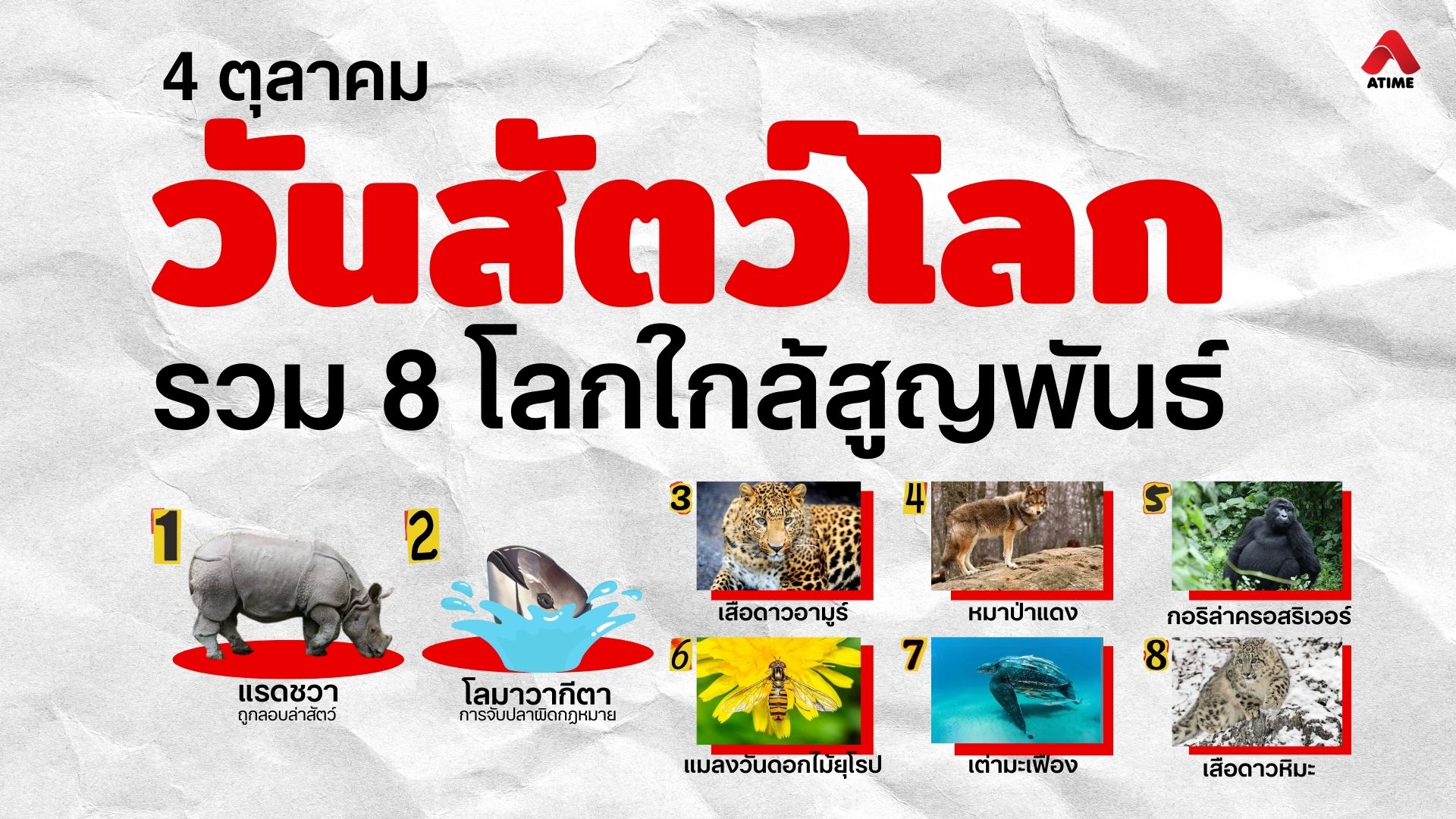 4 ตุลาคม วันสัตว์โลก กับสัตว์ 8 ชนิดที่ใกล้จะสูญพันธุ์
