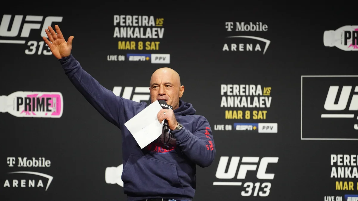 Rogan Welcomes MMA Competition But Questions UFC's Current Direction