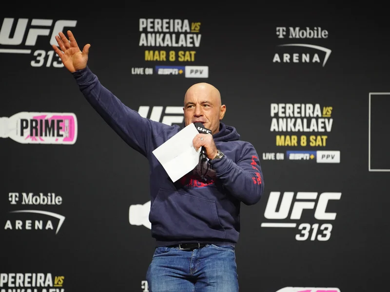 Rogan Welcomes MMA Competition But Questions UFC's Current Direction