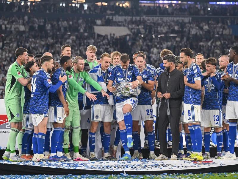 Džeko Drives Schalke to Bundesliga Return After Crucial Mid-Season Move