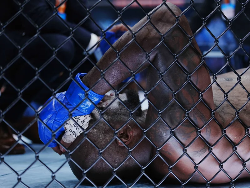Josh Hokit stops Derrick Lewis and calls out Alex Pereira