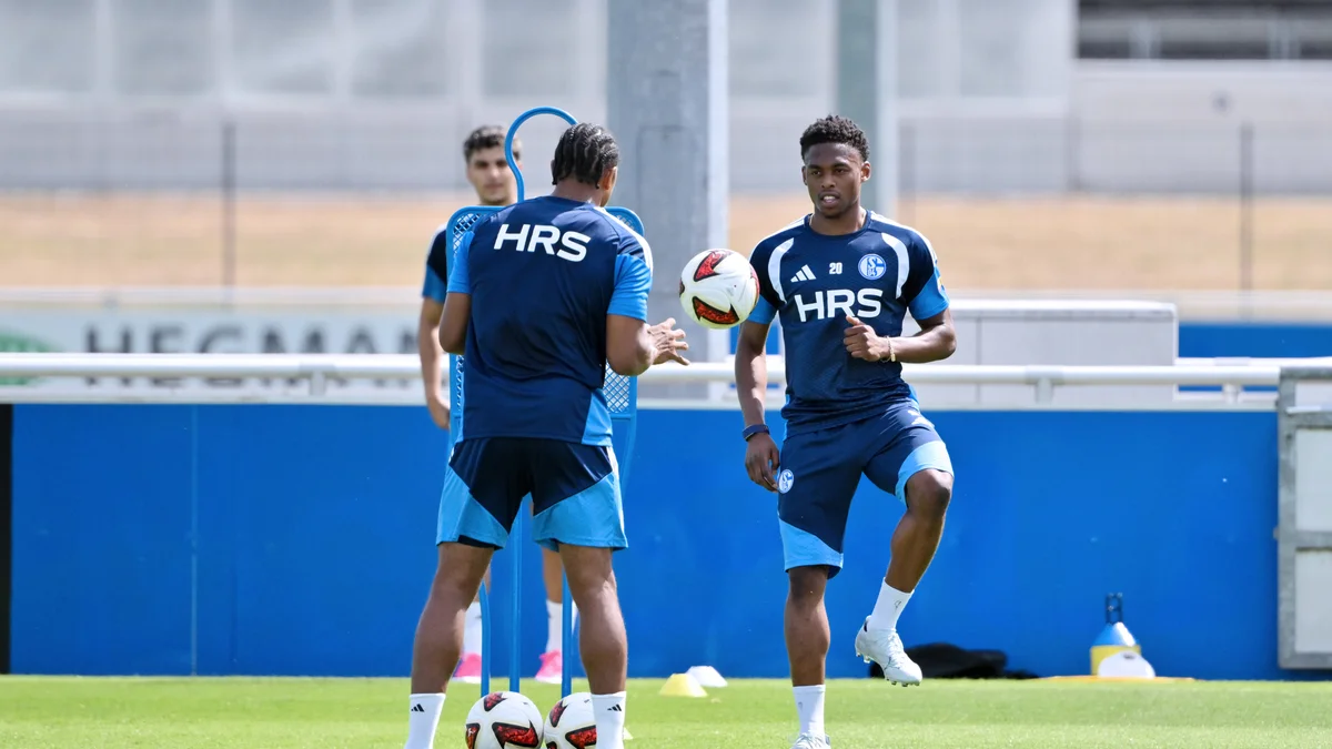 Adamu Joins Promoted Schalke, Vows Success in Bundesliga Return