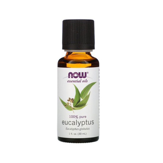 Now Essential Oils, Eucalyptus Globulus Oil 4 Oz in Dubai, UAE