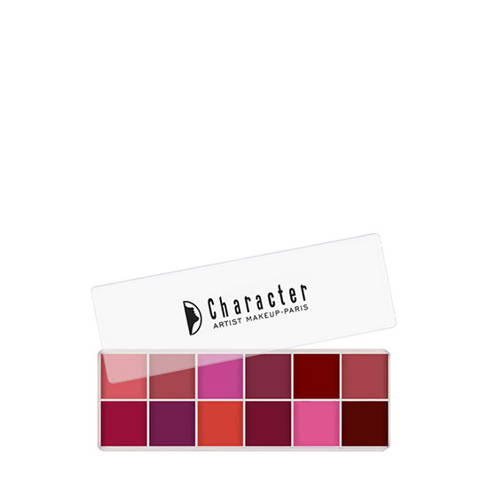 Character 12 Color Makeup Palette BCL001 in Dubai, UAE