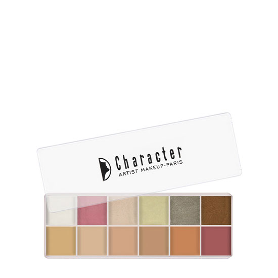 Character 12 Color Make Up Palette BCCZ001 in Dubai, UAE