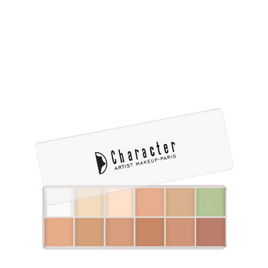 Character 12 Color Make Up Palette BCC001 in Dubai, UAE