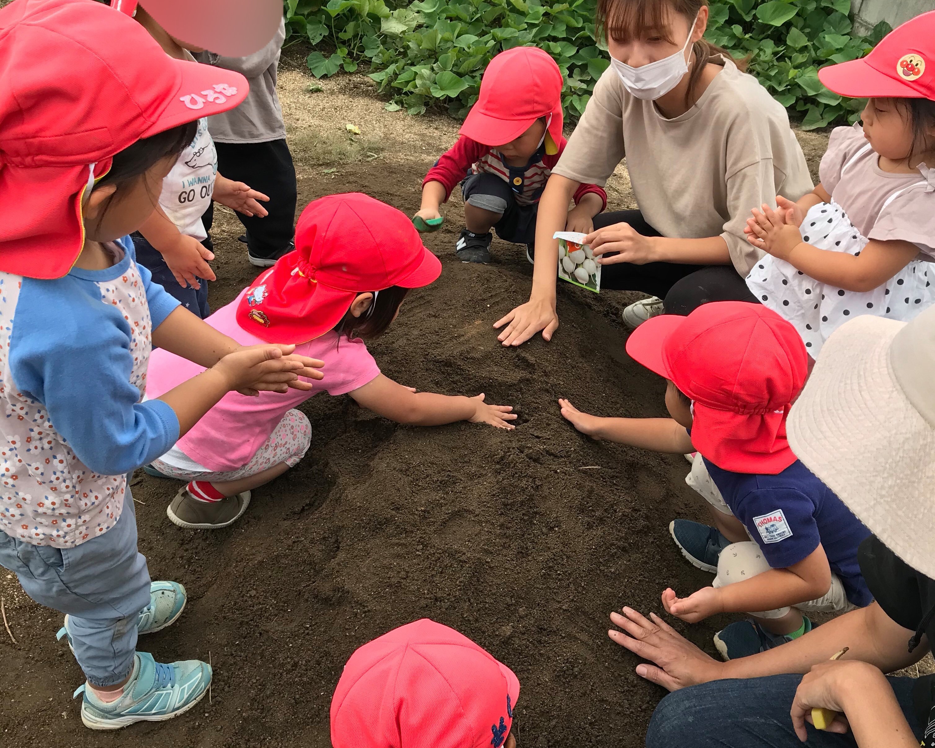 保育士 パート レイモンド瀬田こども園 レイモンド瀬田こども園 の採用情報 社会福祉法人檸檬会