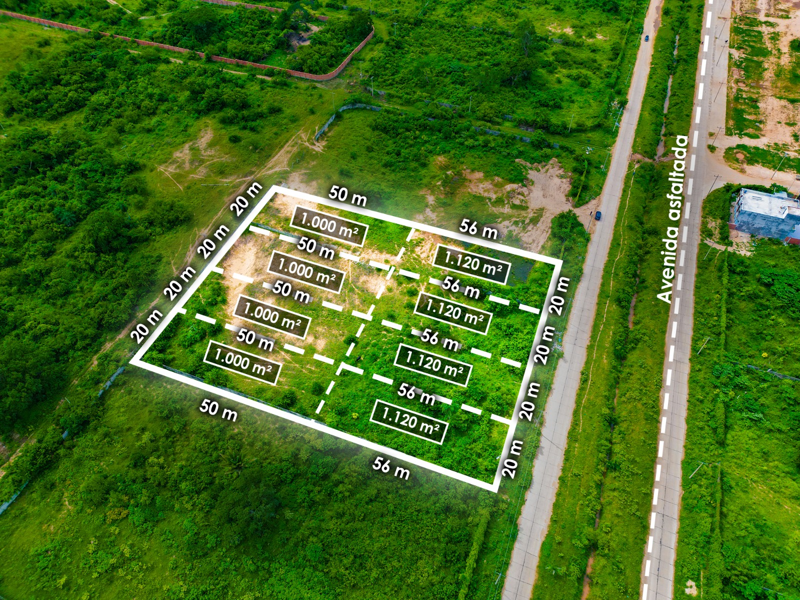 Foto 3 de PROYECTO INMOBILIARIO – LOTES EN VENTA