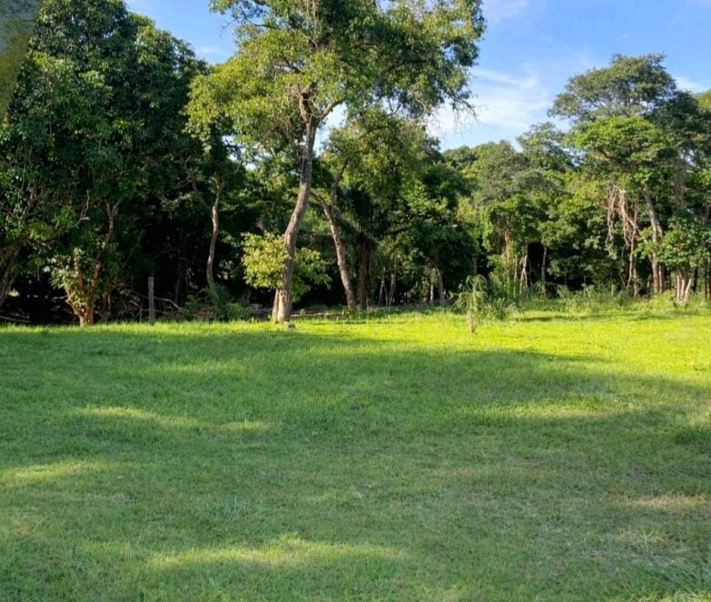 Porongo, Santa Cruz de la Sierra, Departamento de Santa Cruz — imagen 4
