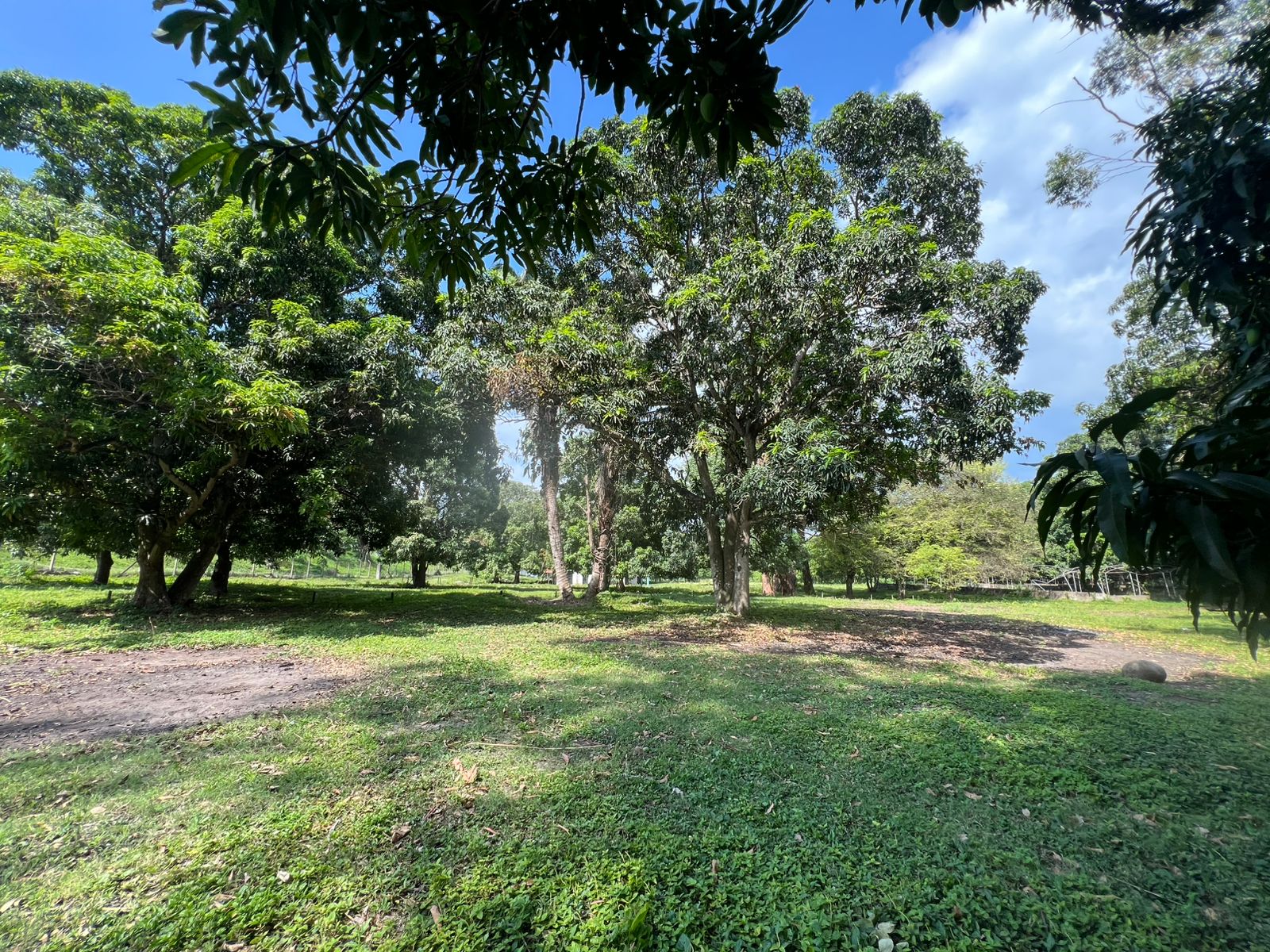 Foto 2 de Terreno en Venta