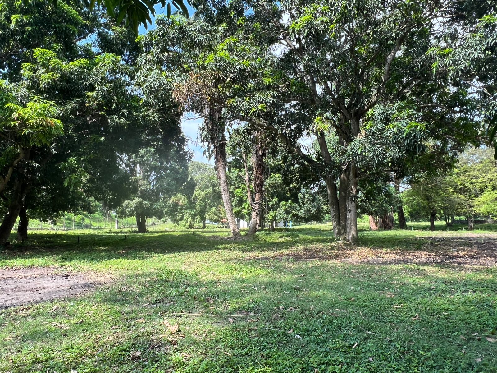 Foto 3 de Terreno en Venta