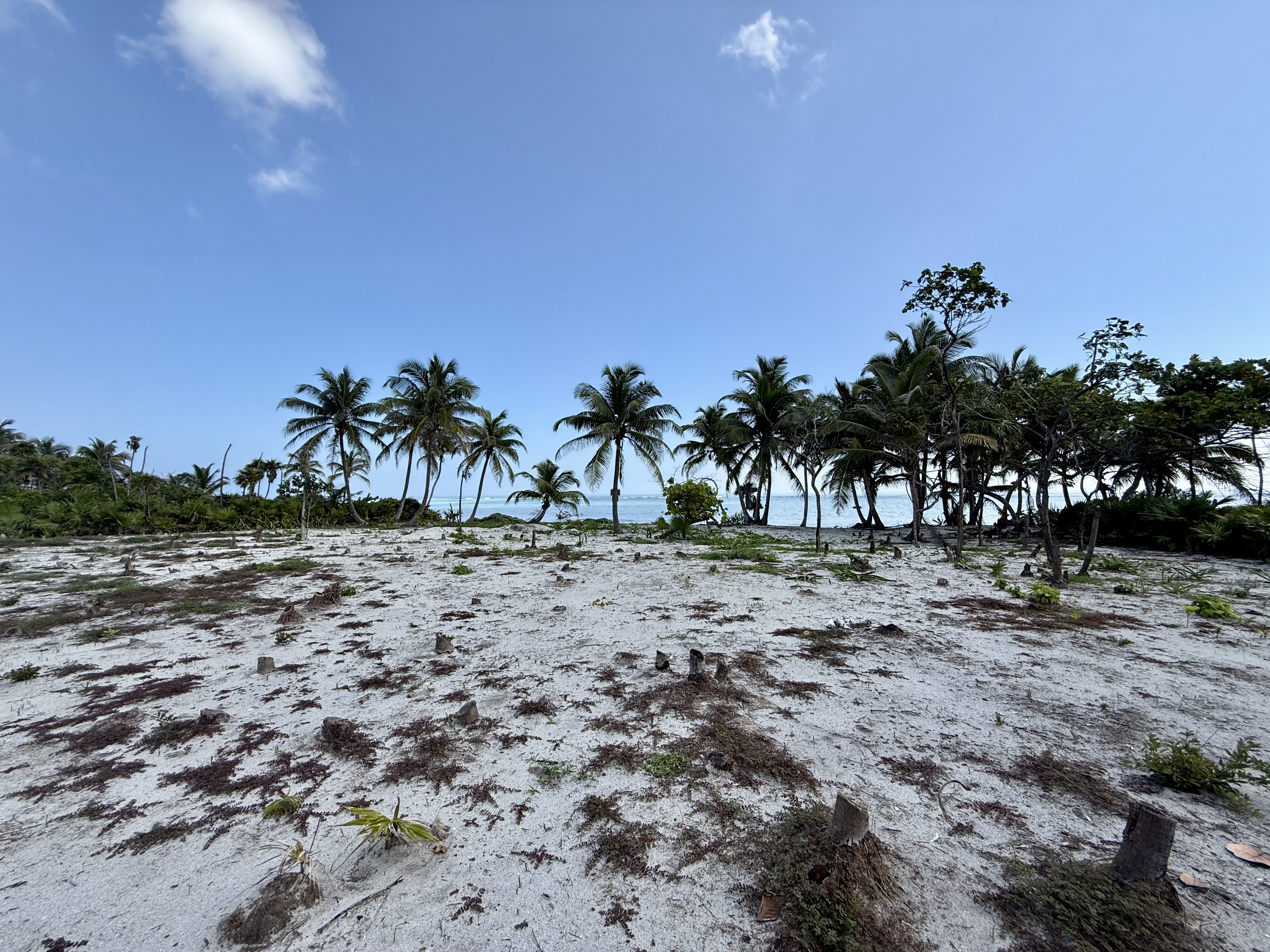 14 Miles North San Pedro Town Ambergris Caye