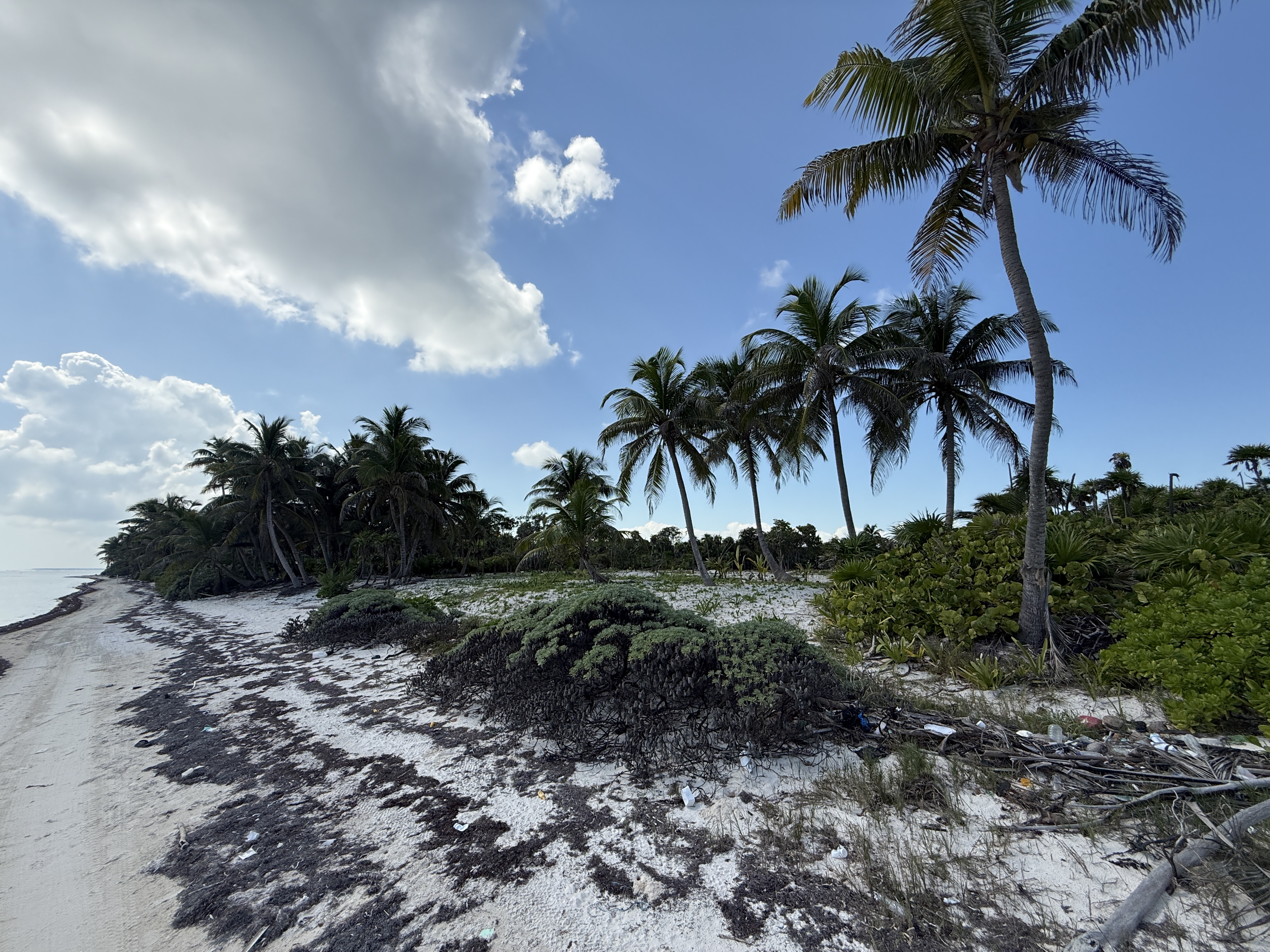 14 Miles North San Pedro Town Ambergris Caye