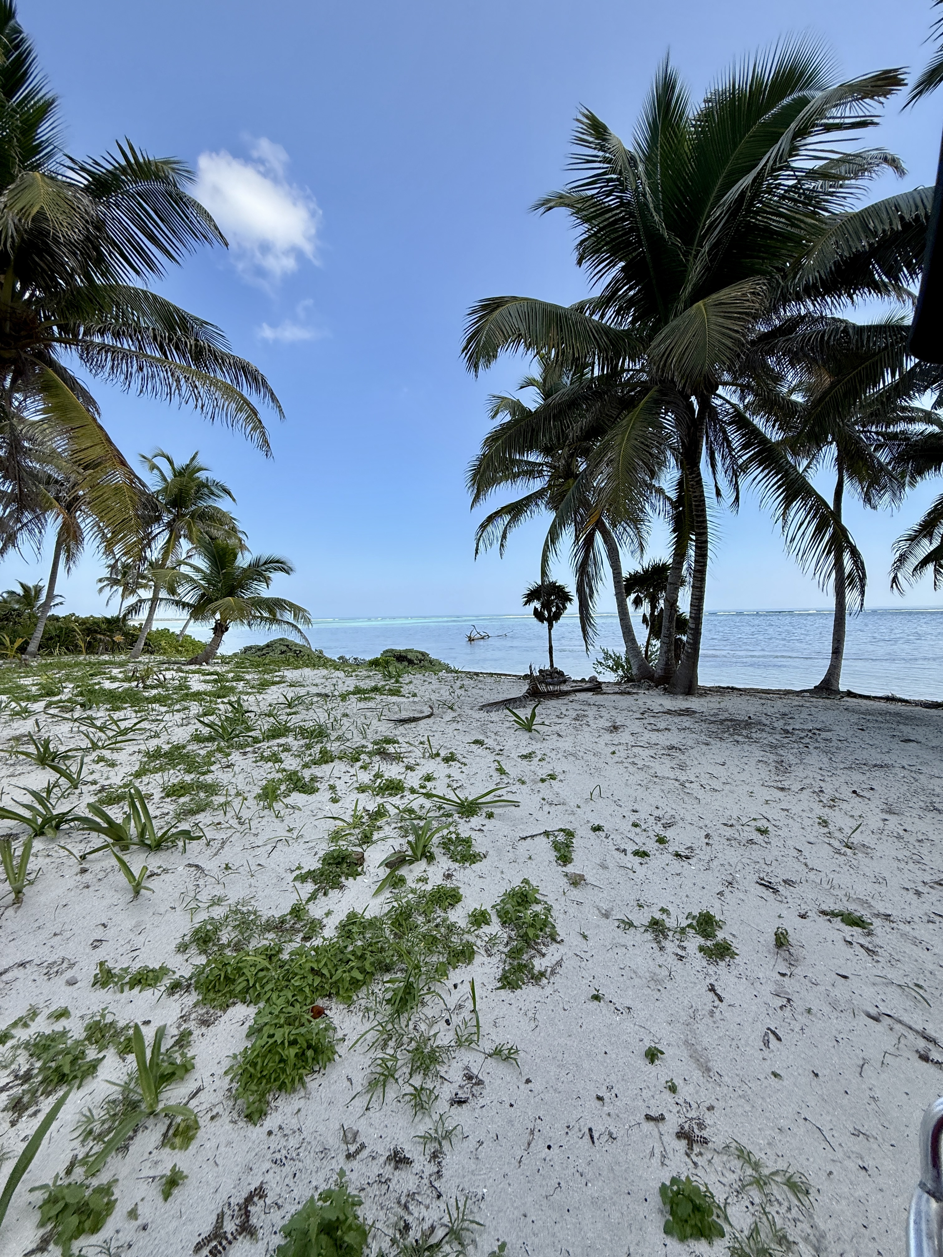 14 Miles North San Pedro Town Ambergris Caye